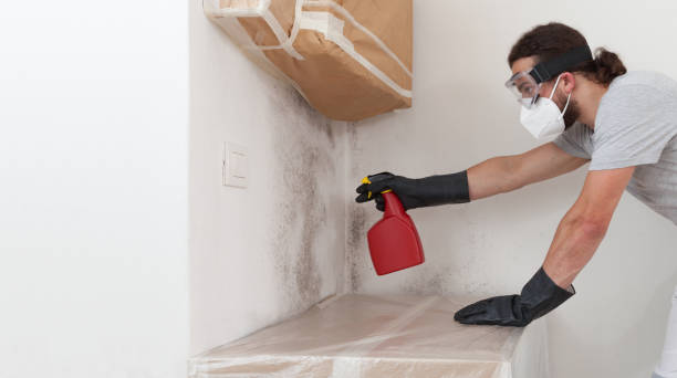 Professional Bathroom Mold Removal technician working in Haworth, NJ