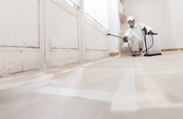 24/7 Emergency Bathroom Mold Removal experts in Haworth, NJ